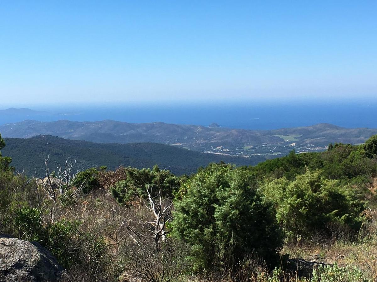 La Petite Bergerie, Les Hautes Roches Collobrières Екстериор снимка