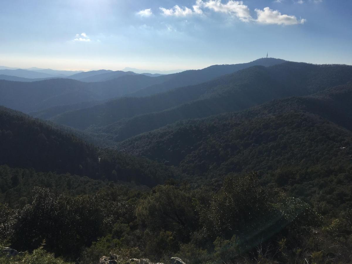 La Petite Bergerie, Les Hautes Roches Collobrières Екстериор снимка
